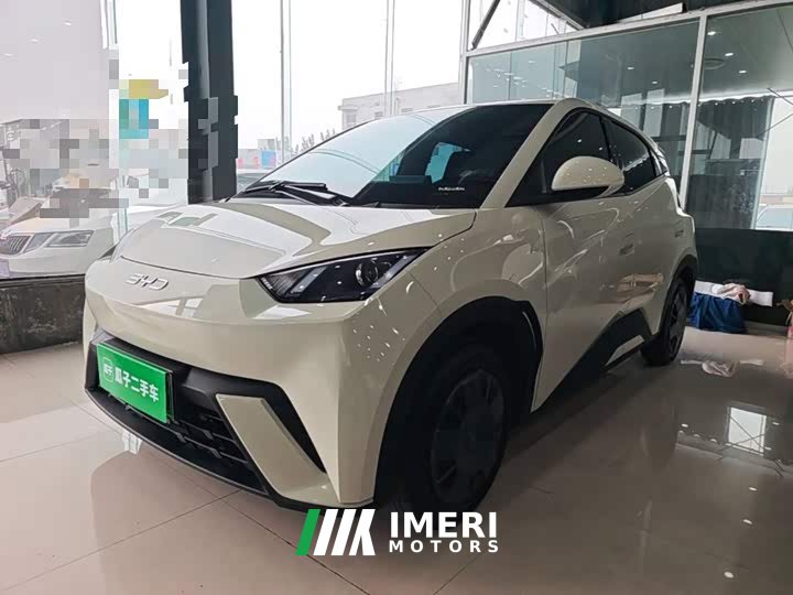 BYD Seagull 2025 305km Vitality Edition - ავტომობილი ჩინეთიდან