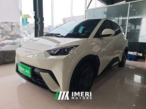 2024 BYD Seagull 305km Vitality Edition