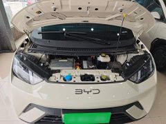 BYD Seagull 2025 305km Vitality Edition - ფოტო 17