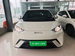 BYD Seagull 2025 305km Vitality Edition - ფოტო 2