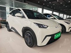 BYD Seagull 2025 305km Vitality Edition - ფოტო 3