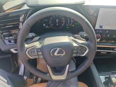 Lexus RX 2023 350h AWD Premium Edition - ფოტო 10