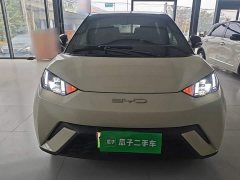 BYD Seagull 2023 Flying Edition - ფოტო 2