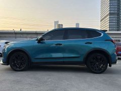 Haval Chitu Turbo Engine Edition 1.5T Platinum - ფოტო 11