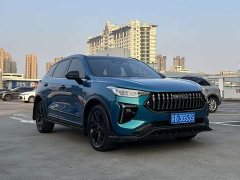 Haval Chitu Turbo Engine Edition 1.5T Platinum - ფოტო 3