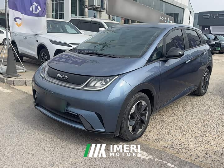 BYD Dolphin Glory Edition 420km Freedom Version - ავტომობილი ჩინეთიდან