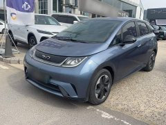 BYD Dolphin Glory Edition 420km Freedom Version - ფოტო 1