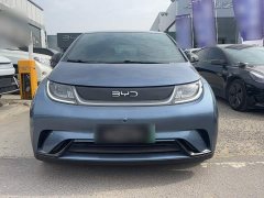 BYD Dolphin Glory Edition 420km Freedom Version - ფოტო 2
