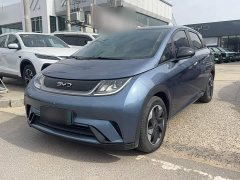 BYD Dolphin Glory Edition 420km Freedom Version - ფოტო 3