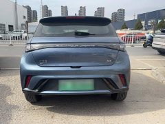 BYD Dolphin Glory Edition 420km Freedom Version - ფოტო 5