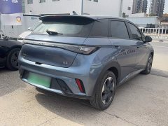 BYD Dolphin Glory Edition 420km Freedom Version - ფოტო 7