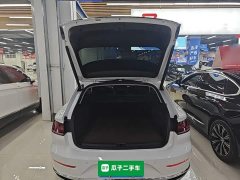Volkswagen FAW-Volkswagen CC Shooting Brake 380TSI Hunting Heart Edition - ფოტო 19