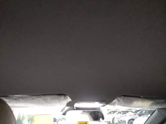 Baojun Yunhai 140km Plug-in Hybrid - ფოტო 18