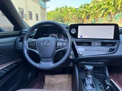 Lexus ES 300h Excellence Edition - ფოტო 8