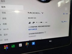 Tesla Model Y Rear-Wheel Drive - ფოტო 12