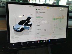 Tesla Model Y Rear-Wheel Drive - ფოტო 13