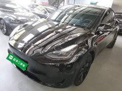 Tesla Model Y Rear-Wheel Drive - ფოტო 2