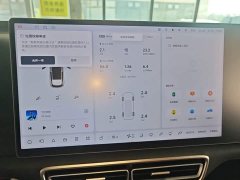 Li Auto L6 Max - ფოტო 11