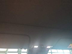 Li Auto L6 Max - ფოტო 17