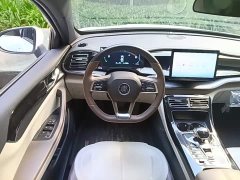 BYD Qin PLUS Glory Edition DM-i 55KM Leading - ფოტო 11