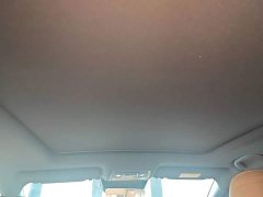 BYD Song L DM-i 112km Transcendence - ფოტო 13