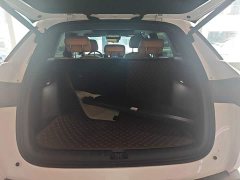 BYD Song L DM-i 112km Transcendence - ფოტო 14