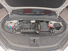 BYD Song L DM-i 112km Transcendence - ფოტო 15