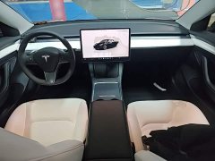 Tesla Model 3 2022 Rear-Wheel Drive - ფოტო 10