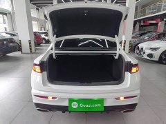 Geely Xingrui 1.5T Diesel Fuyao Edition - ფოტო 14