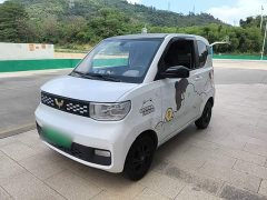 Wuling Hongguang MINIEV 2020 Zizai Edition LFP Battery - ფოტო 1