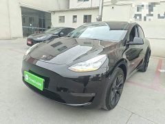Tesla Model Y Long Range All-Wheel Drive - ფოტო 1