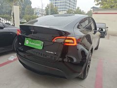 Tesla Model Y Long Range All-Wheel Drive - ფოტო 6