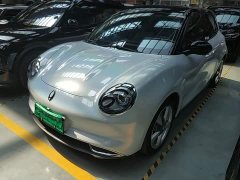ORA Good Cat 401km Standard Range Comfort Edition LFP Battery - ფოტო 1