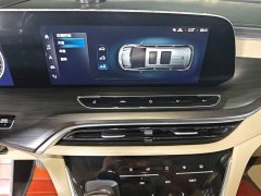 Buick GL8 ES Luxe 653T Prestige - ფოტო 13