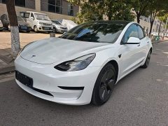 Tesla Model 3 Standard Range RWD Upgrade - ფოტო 1
