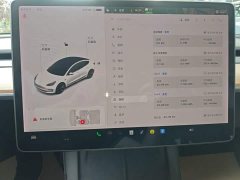 Tesla Model 3 Standard Range RWD Upgrade - ფოტო 11