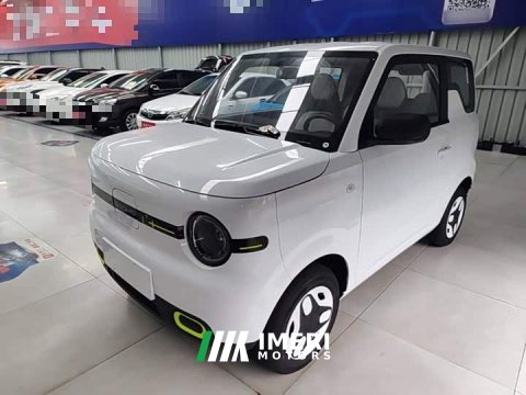 2026 Geely Panda 2025 Panda Mini 210km Vitality Edition - ავტომობილი ჩინეთიდან