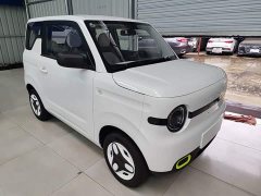 Geely Panda 2025 Panda Mini 210km Vitality Edition - ფოტო 3
