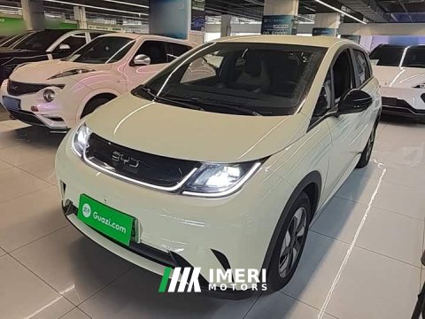 2026 BYD Dolphin 2025 420km Freedom Edition - ავტომობილი ჩინეთიდან