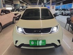 BYD Dolphin 2025 420km Freedom Edition - ფოტო 2