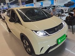 BYD Dolphin 2025 420km Freedom Edition - ფოტო 3