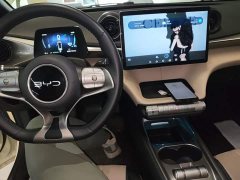BYD Dolphin 2025 420km Freedom Edition - ფოტო 9