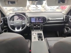 Great Wall Dachshund 2024 1.5T DCT Labrador Edition - ფოტო 10