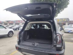 Great Wall Dachshund 2024 1.5T DCT Labrador Edition - ფოტო 19