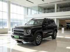 Great Wall Dachshund 2024 1.5T DCT Labrador Edition - ფოტო 2
