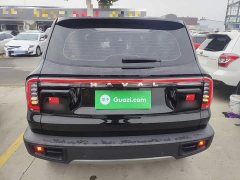 Great Wall Dachshund 2024 1.5T DCT Labrador Edition - ფოტო 6