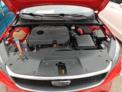 Geely Binrui 2021 1.4T CVT Asian Games Edition - ფოტო 19