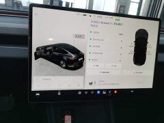 Tesla Model 3 2023 Rear-Wheel Drive - ფოტო 12