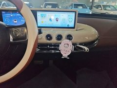 Wuling Binguo 333km Joy Edition - ფოტო 13
