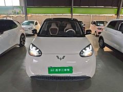 Wuling Binguo 333km Joy Edition - ფოტო 3